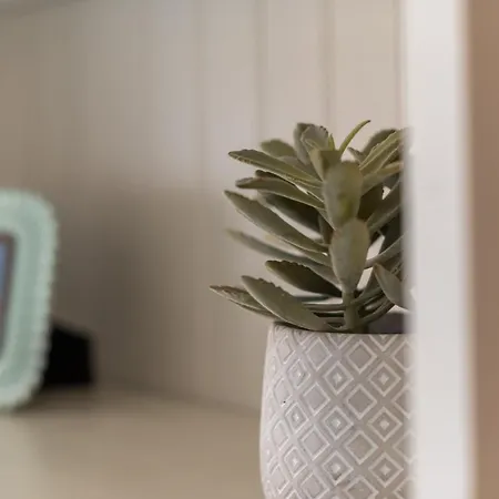 Bluebol, A 2 Km De Vut-2761-as *